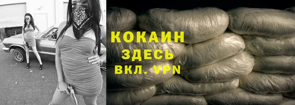 хмурый Аркадак
