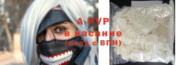 хмурый Аркадак