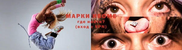 хмурый Аркадак