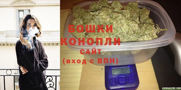 хмурый Аркадак