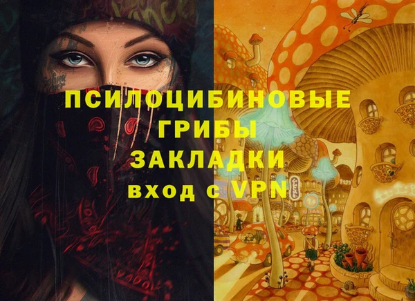 хмурый Аркадак