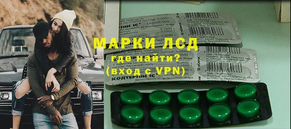 хмурый Аркадак