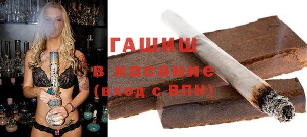 хмурый Аркадак