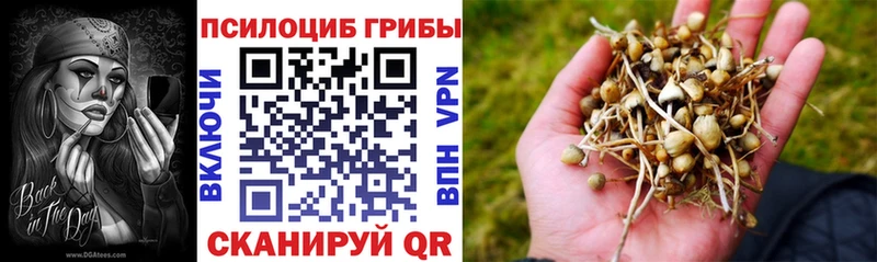 Галлюциногенные грибы GOLDEN TEACHER  МЕГА ТОР  Баймак 